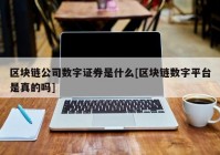 区块链公司数字证券是什么[区块链数字平台是真的吗]